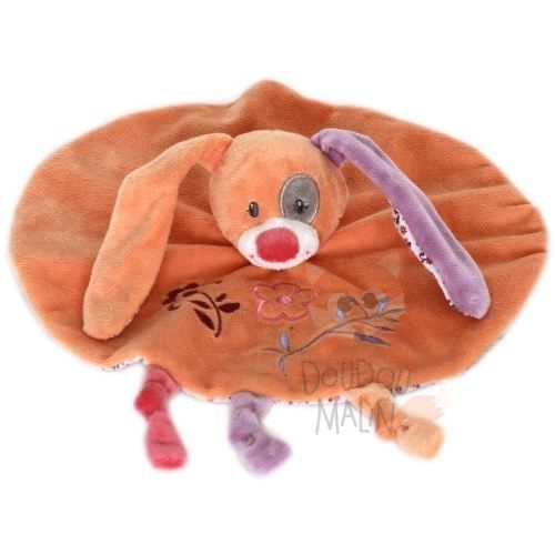  lapin plat rond orange rose violet fleur 